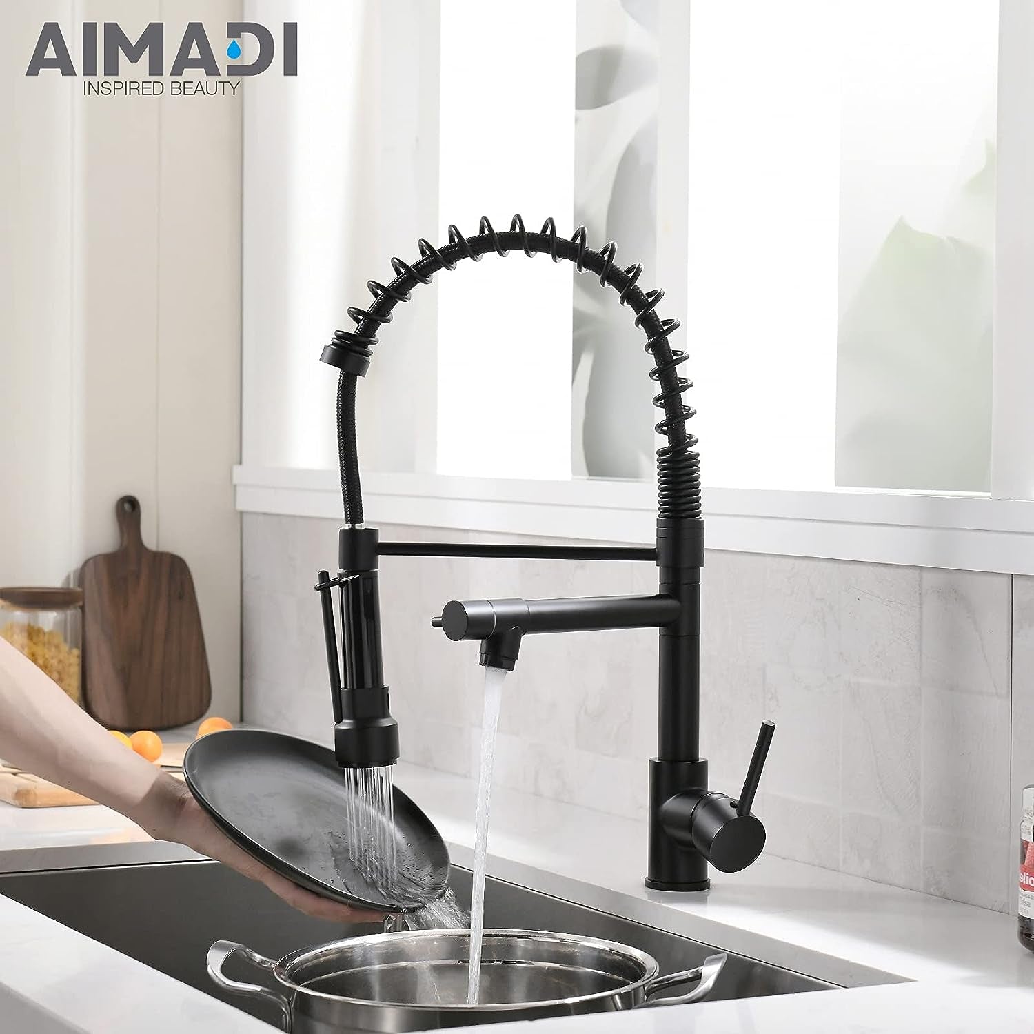 Kitchen Faucets with Pull down Sprayer  